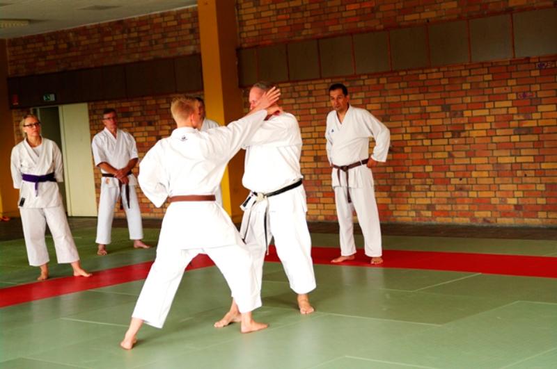 Bild 12